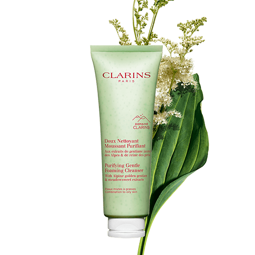 Purifying Gentle Foaming Cleanser (Combination To Oily Skin)